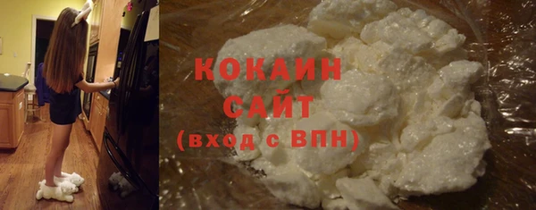 a pvp Новозыбков