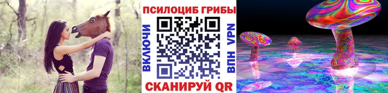 Галлюциногенные грибы MAGIC MUSHROOMS  МЕГА онион  Калтан  купить наркотики цена 